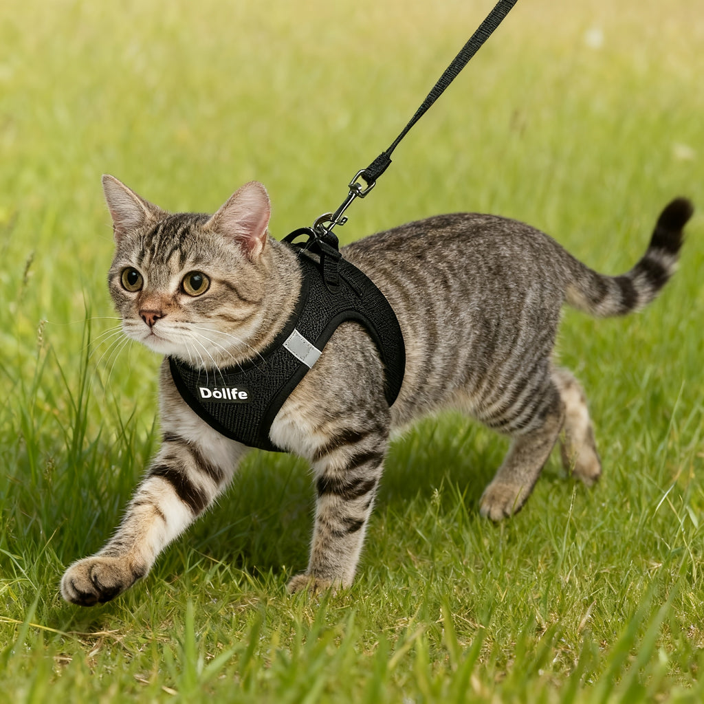 EURO VIBE Cat Harness & Leash – Escape Proof Walking Set UK