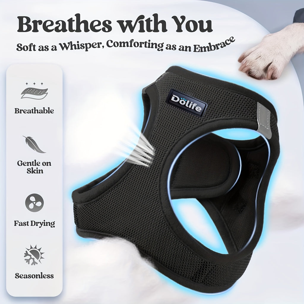 EURO VIBE Cat Harness & Leash – Escape Proof Walking Set UK