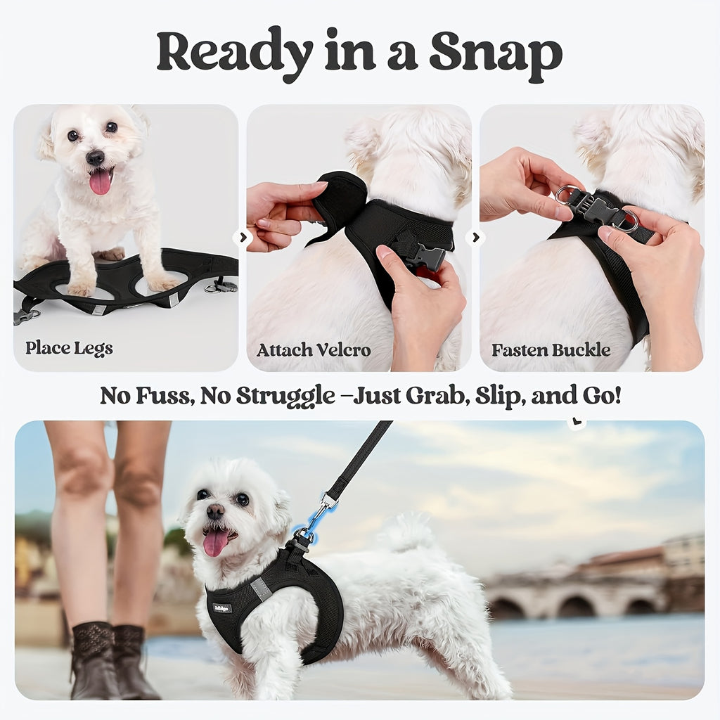 EURO VIBE Cat Harness & Leash – Escape Proof Walking Set UK