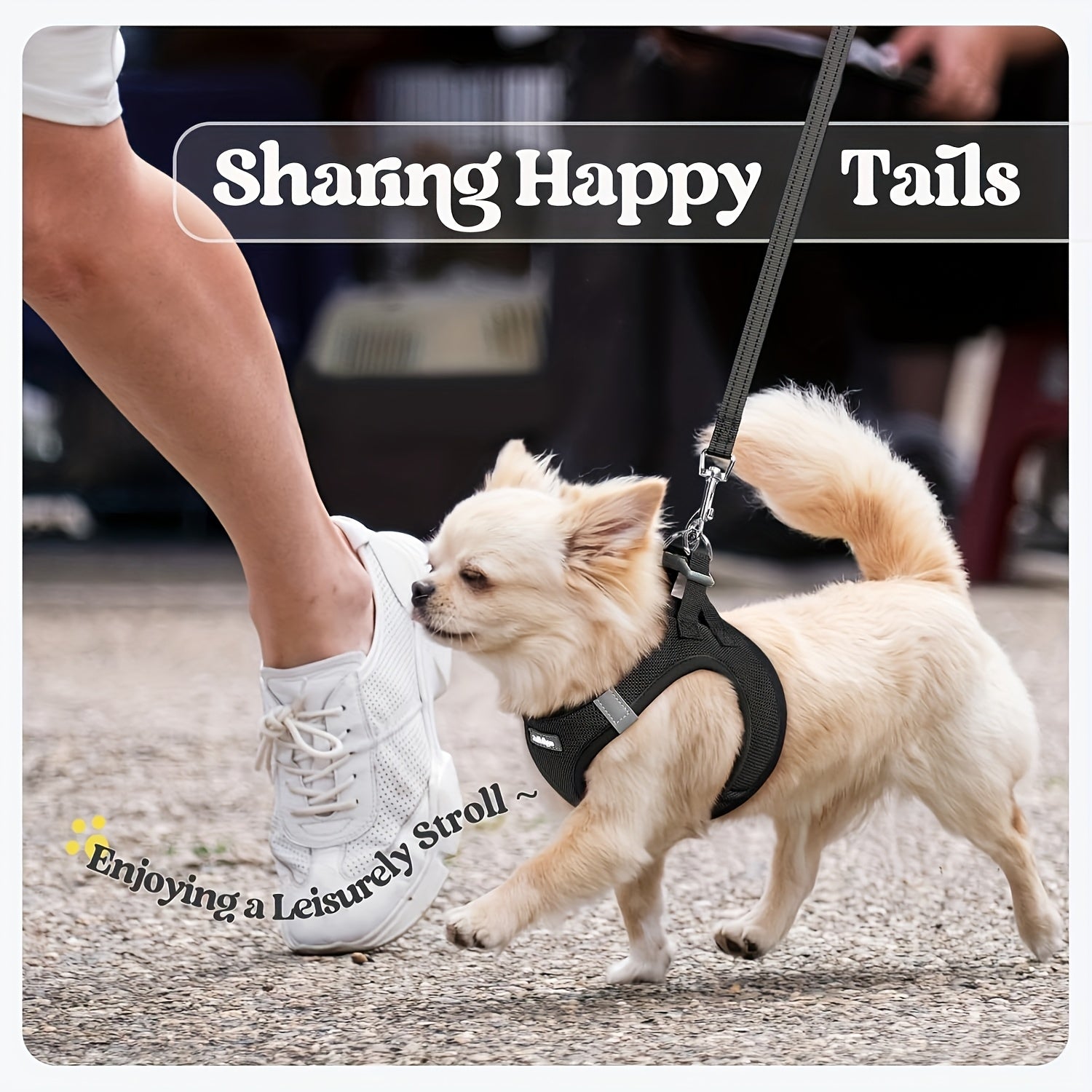 EURO VIBE Cat Harness & Leash – Escape Proof Walking Set UK