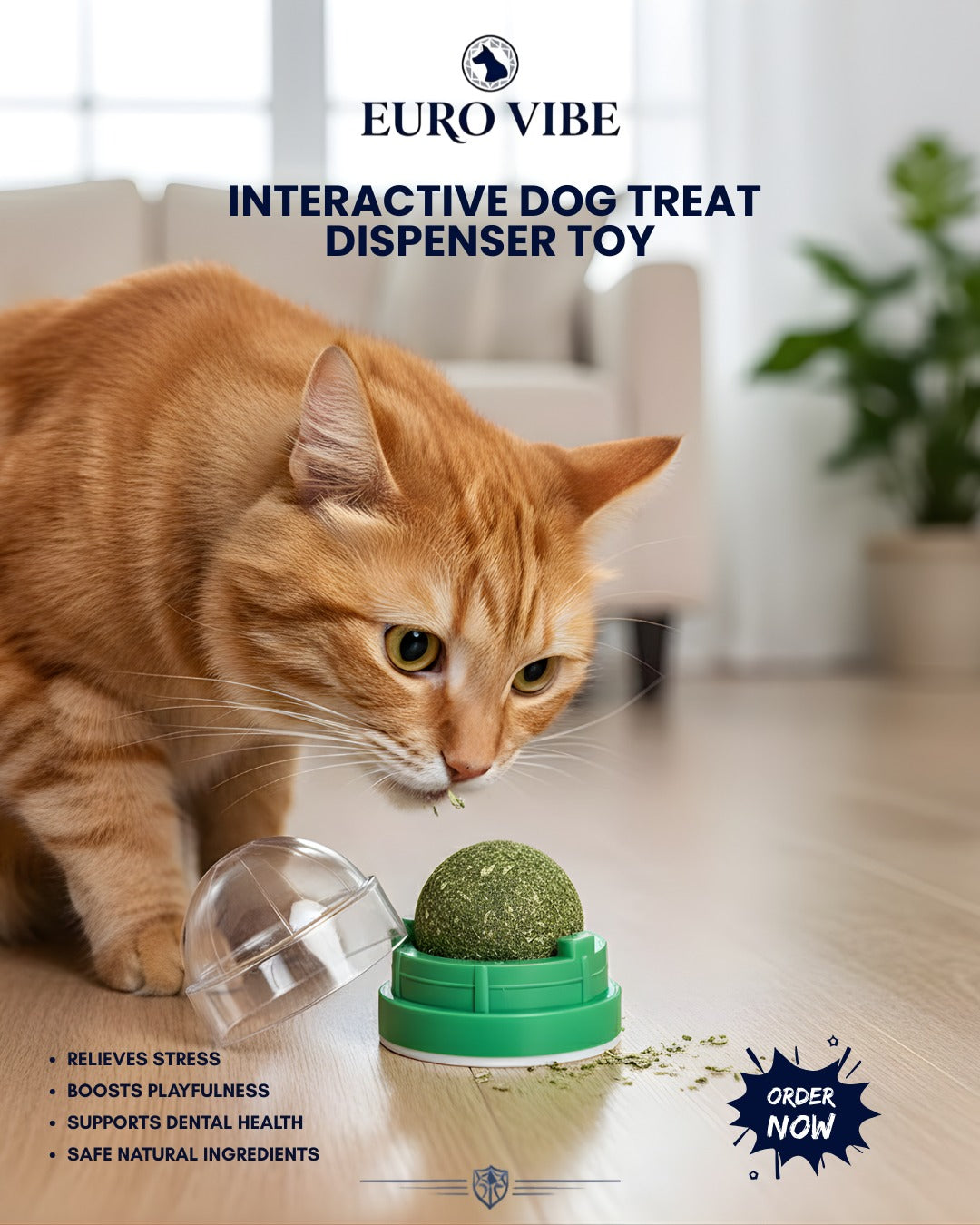 EURO VIBE Natural Catnip Ball Toy for Cats | Stress Relief