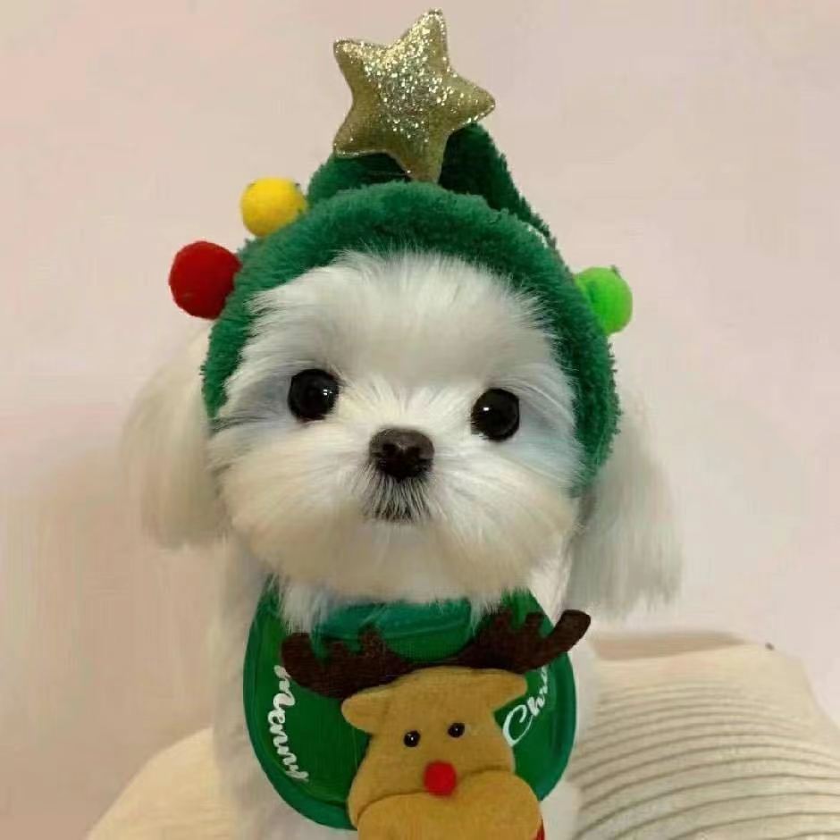 Cute Christmas Pet Costume Set | Festive Dog Hats & Bibs for Holiday Fun