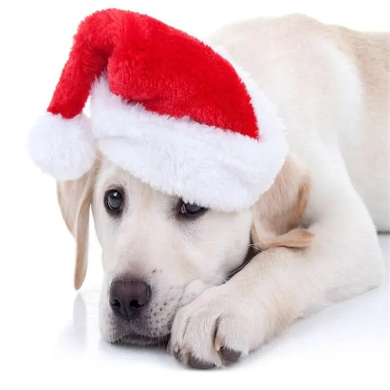 Christmas Pet Santa Hat for Dogs & Cats – Cute Holiday Costume Accessory
