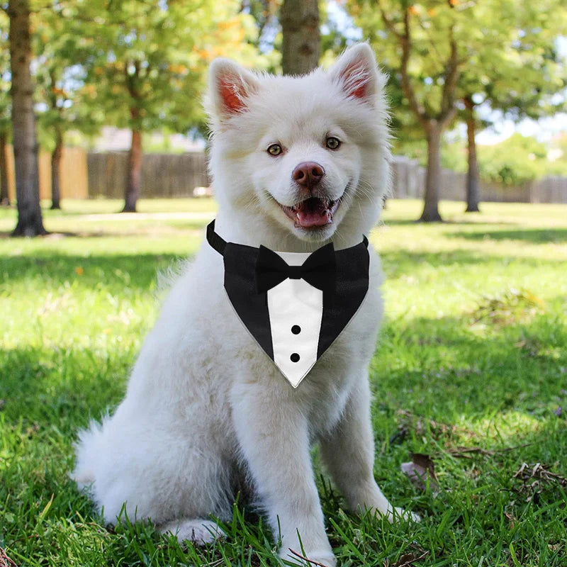 EURO VIBE Dog Tuxedo Bandana with Bow Tie – Adjustable Formal Collar