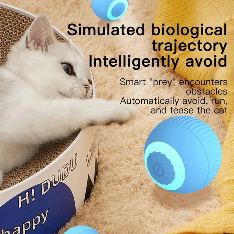“Automatic Teasing Cat Ball Toy – Interactive Smart Rolling Pet Toy USA”