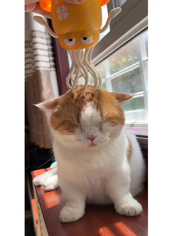 Interactive Light-Up Octopus Cat Toy | Battery Powered Fun Toy