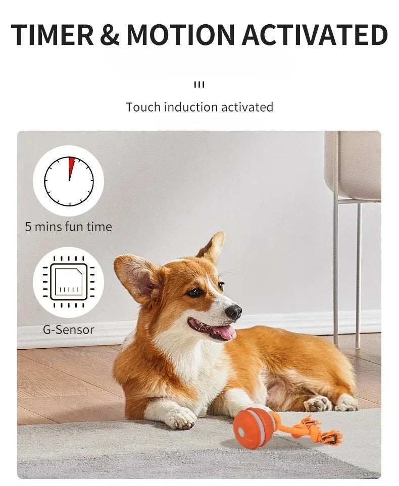 EURO VIBE Interactive Dog Rope Toy with Suction Cup & Ball