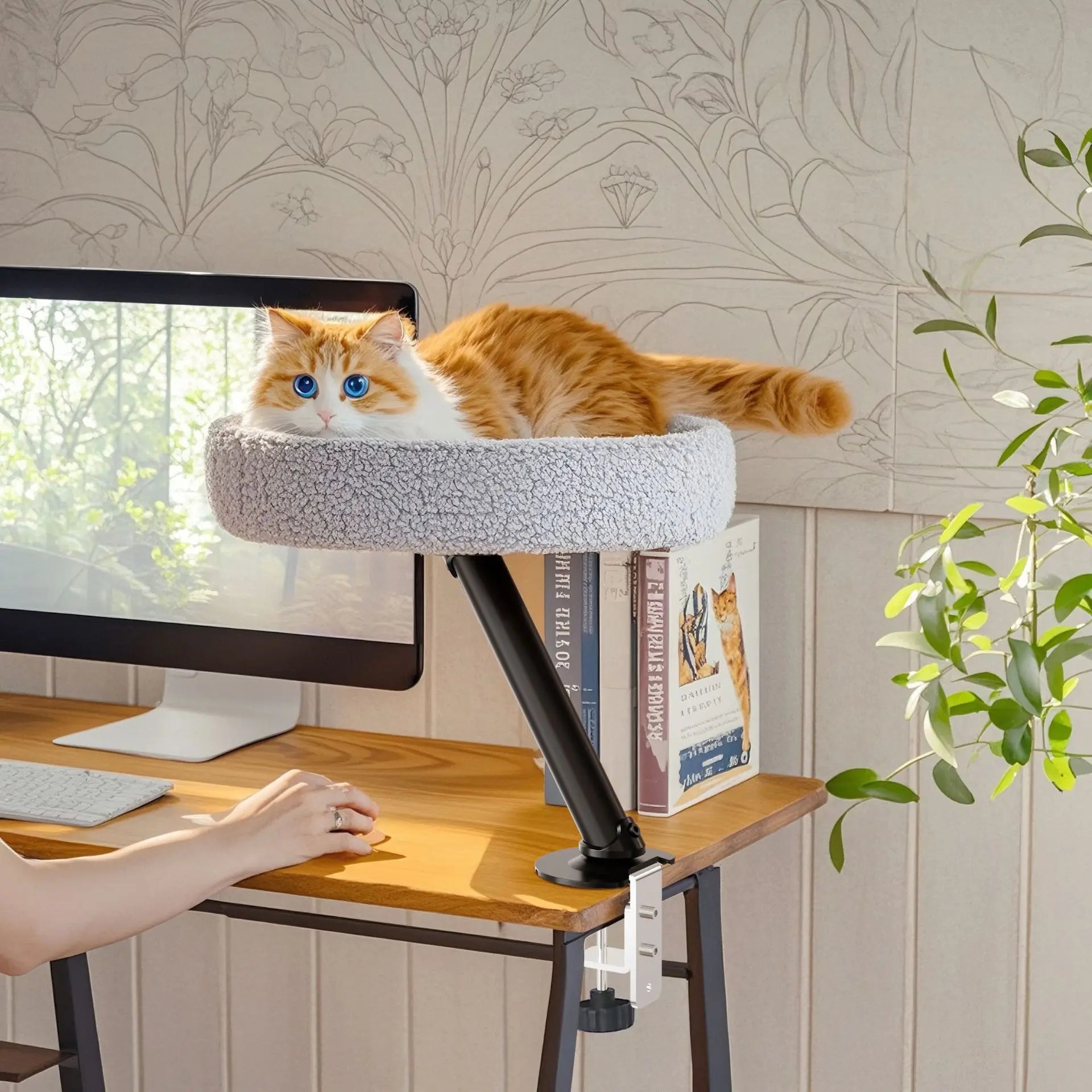 EURO VIBE Adjustable Cat Desk Perch Bed | Comfortable Rest Spot