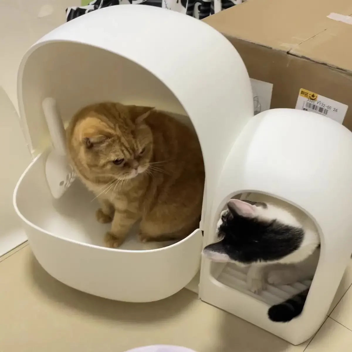 “Modern Enclosed Cat Litter Box & Hideaway – Stylish Cat Toilet