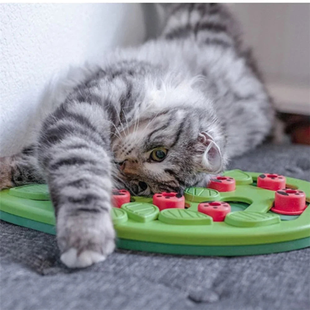 EURO VIBE Cat Puzzle Feeder | Interactive Slow Feeding Toy