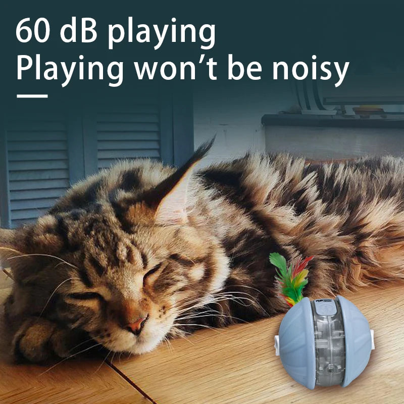 Cat Infrared Interactive Ball Toy for Cats | EURO VIBE UK