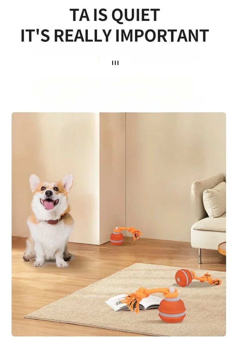 EURO VIBE Interactive Dog Rope Toy with Suction Cup & Ball