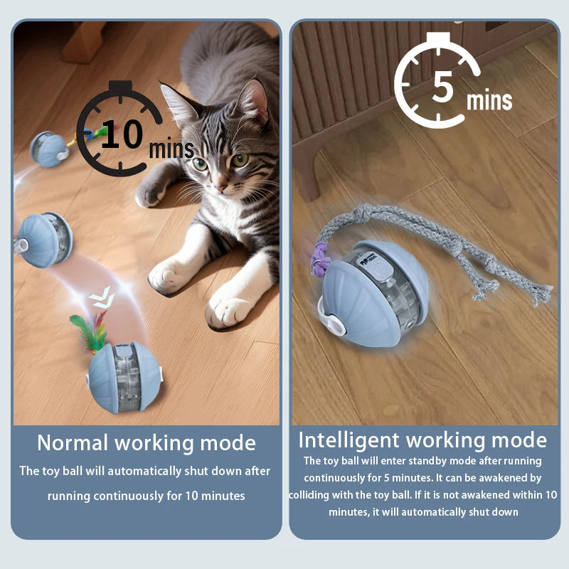 Cat Infrared Interactive Ball Toy for Cats | EURO VIBE UK