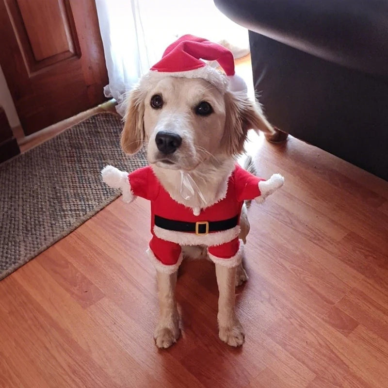 Cute Santa Dog Costume – Christmas Pet Outfit for Small Dogs | EURO VIBE