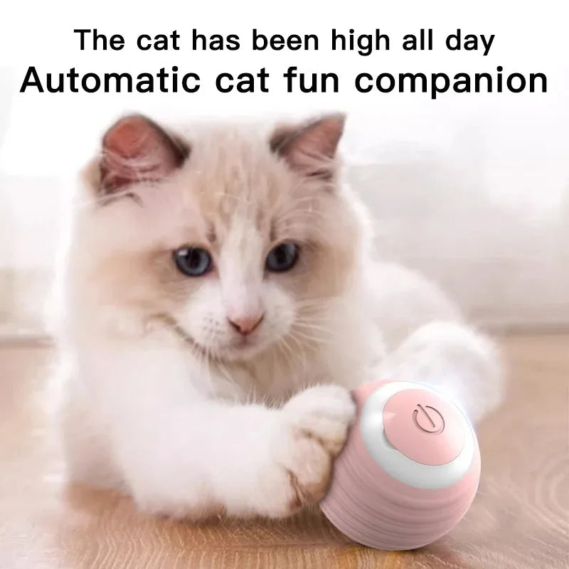 “Automatic Teasing Cat Ball Toy – Interactive Smart Rolling Pet Toy USA”