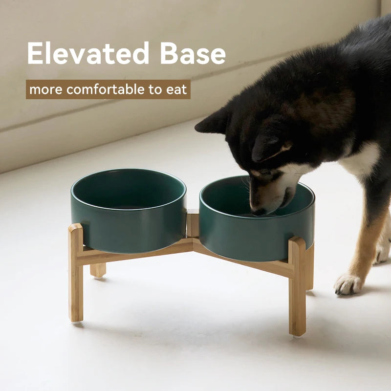 “Modern Elevated Pet Feeding Bowl Set – Raised Dog & Cat Feeder