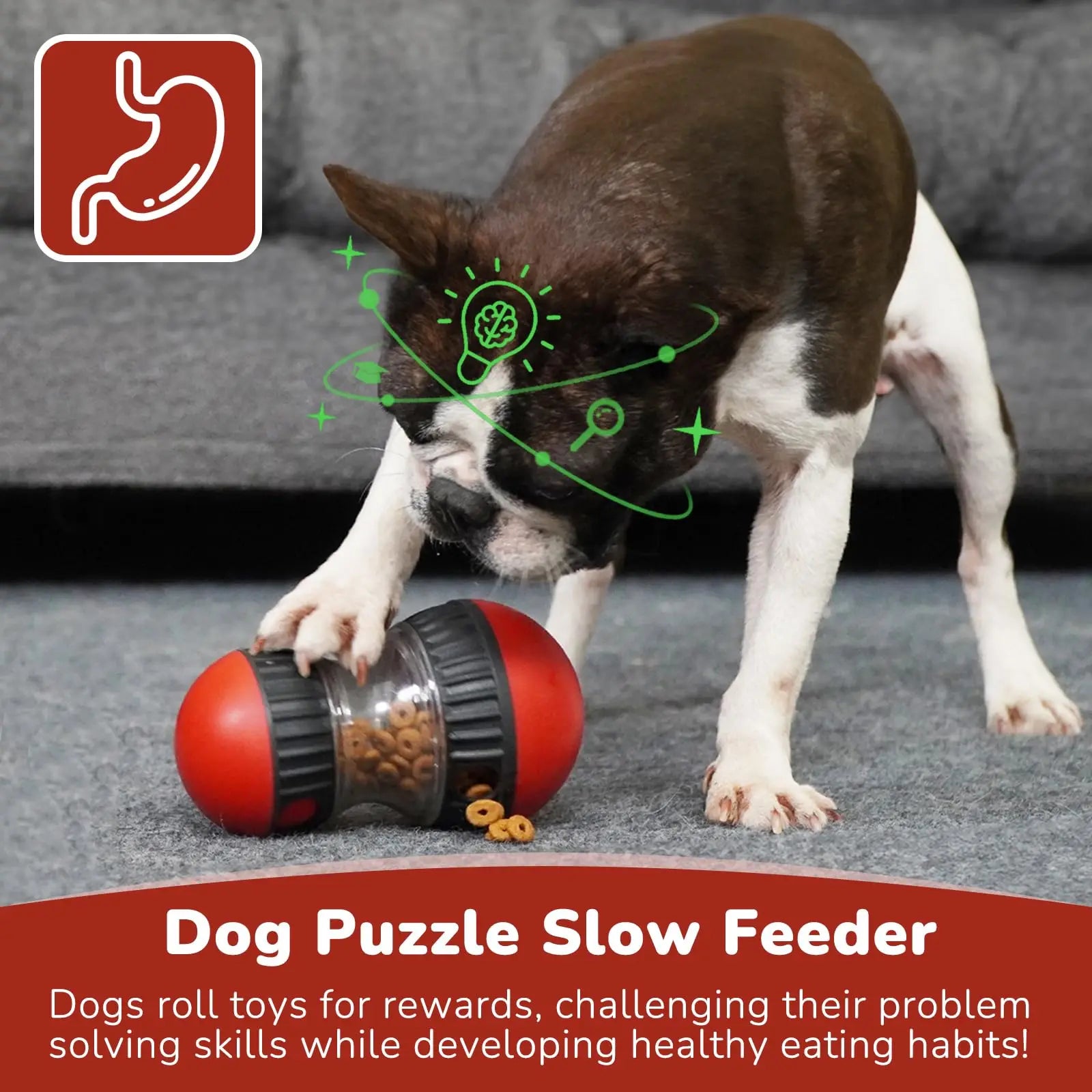 EURO VIBE Interactive Dog Treat Dispenser Toy – Slow Feeder Ball