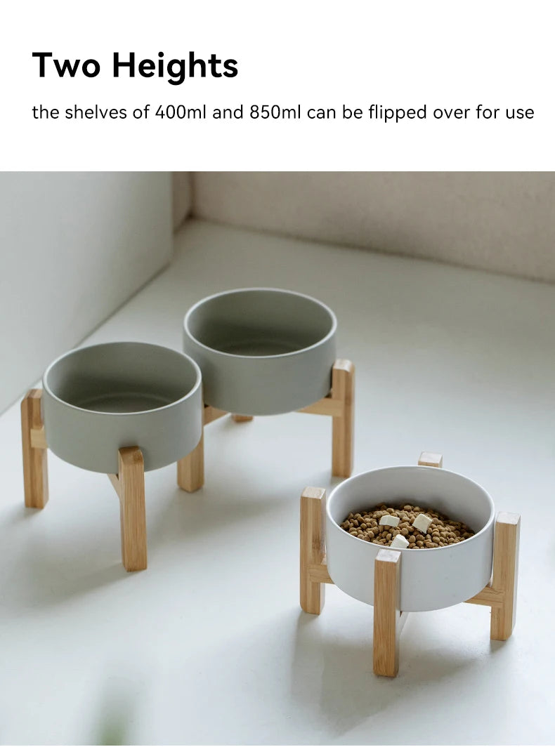 “Modern Elevated Pet Feeding Bowl Set – Raised Dog & Cat Feeder