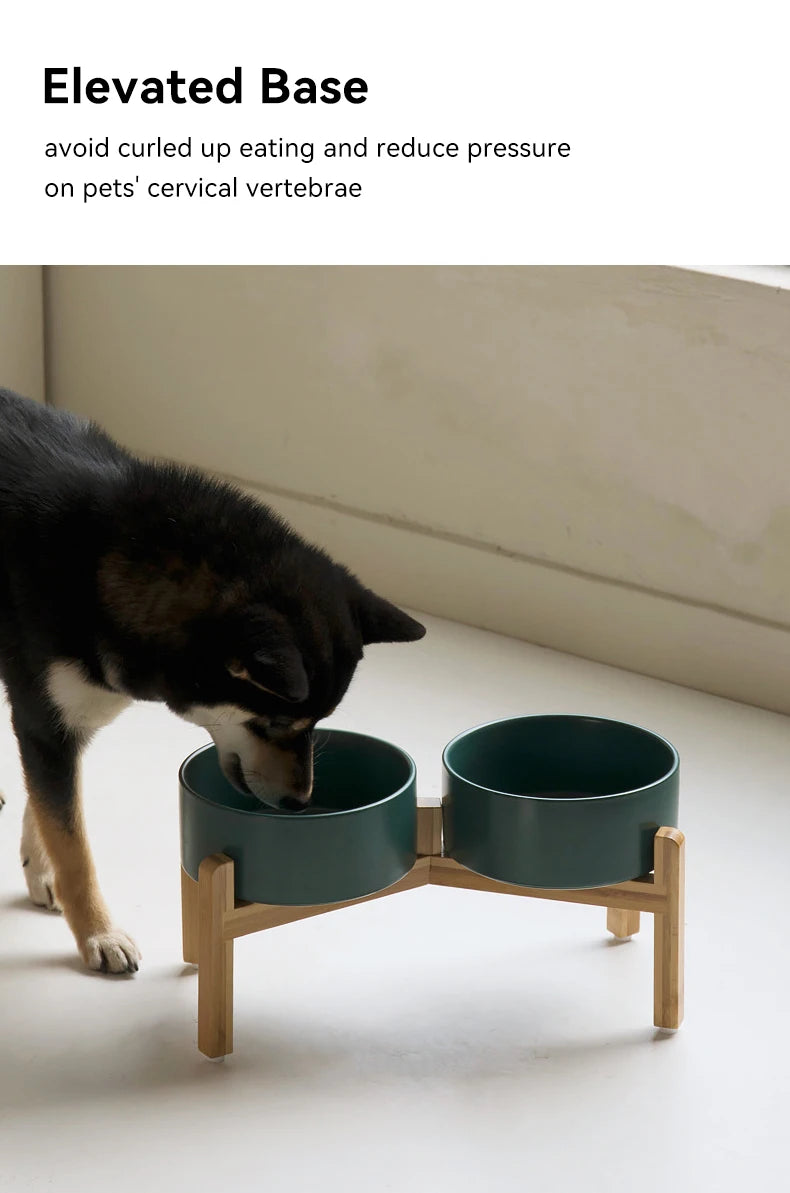 “Modern Elevated Pet Feeding Bowl Set – Raised Dog & Cat Feeder