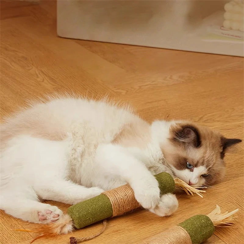 Smart Interactive Cat Toy Ball with Sound & Catnip | EURO VIBE