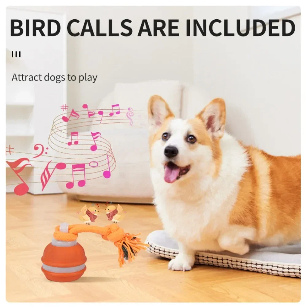 EURO VIBE Interactive Dog Rope Toy with Suction Cup & Ball