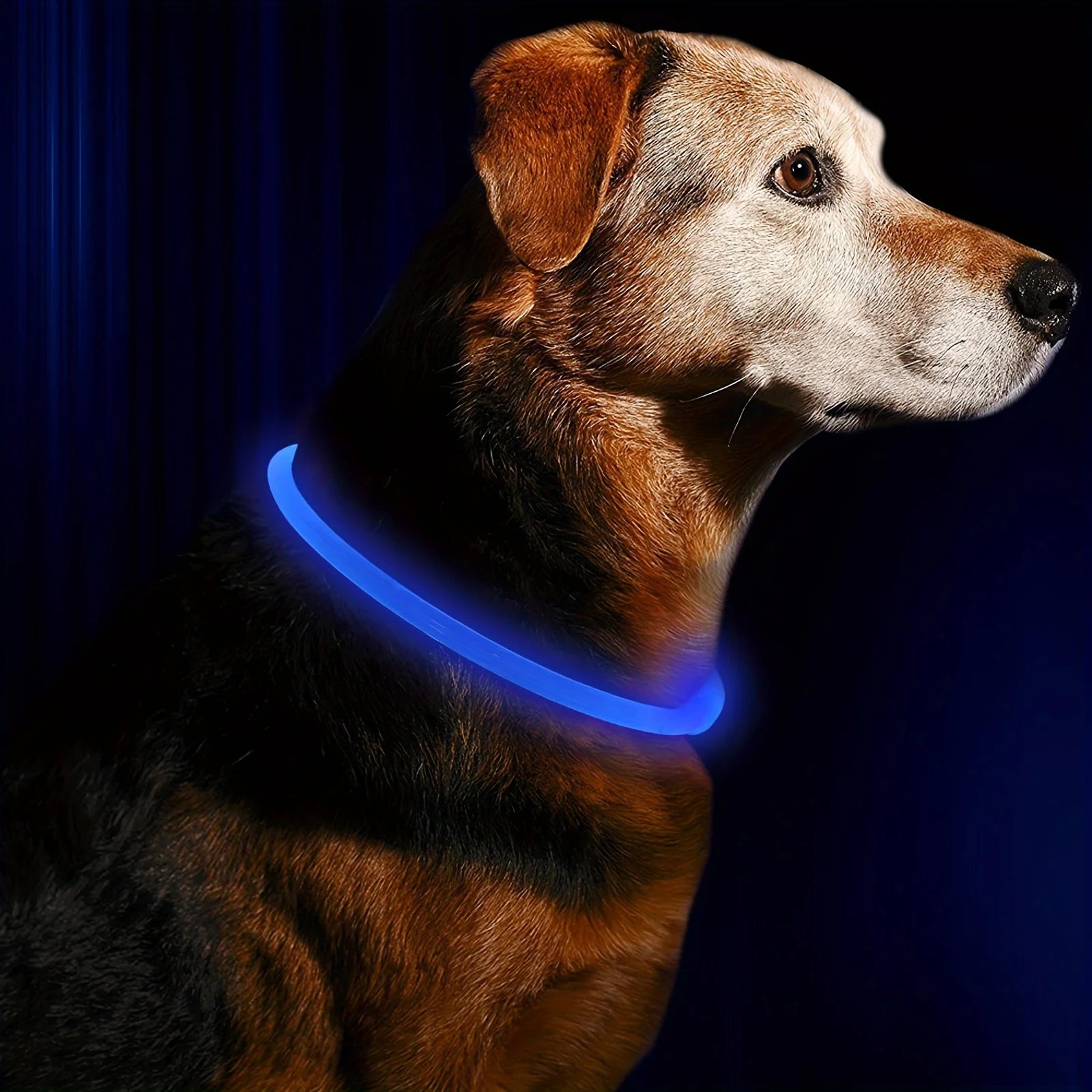 LED Glow Safety Dog Collar – Rechargeable Light Up Pet Neck Ring UK