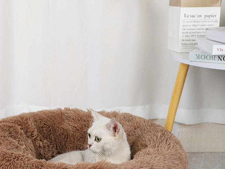 Fluffy Donut Cat Bed – Premium Soft Round Pet Cushion UK
