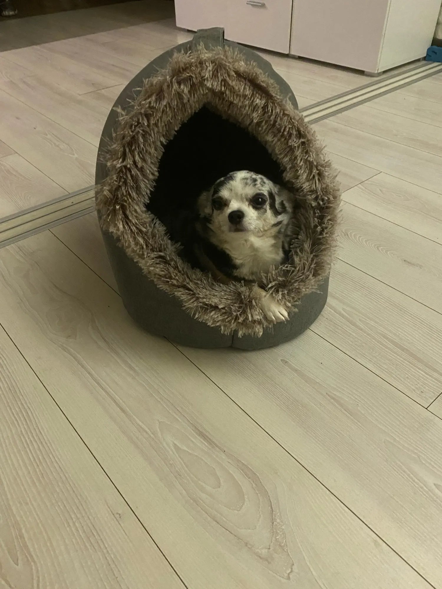 “Cozy Cat Cave Bed – Soft Warm Pet House for Indoor Cats & Kittens”