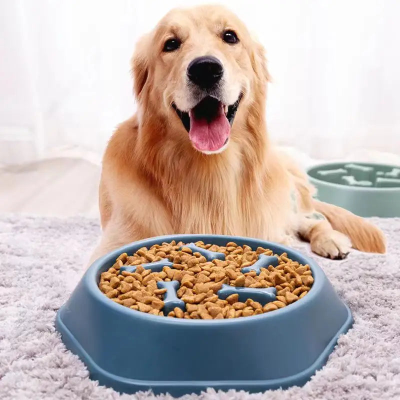 EURO VIBE Slow Feeder Dog Bowl – Anti-Gulping Pet Feeding Dish UK