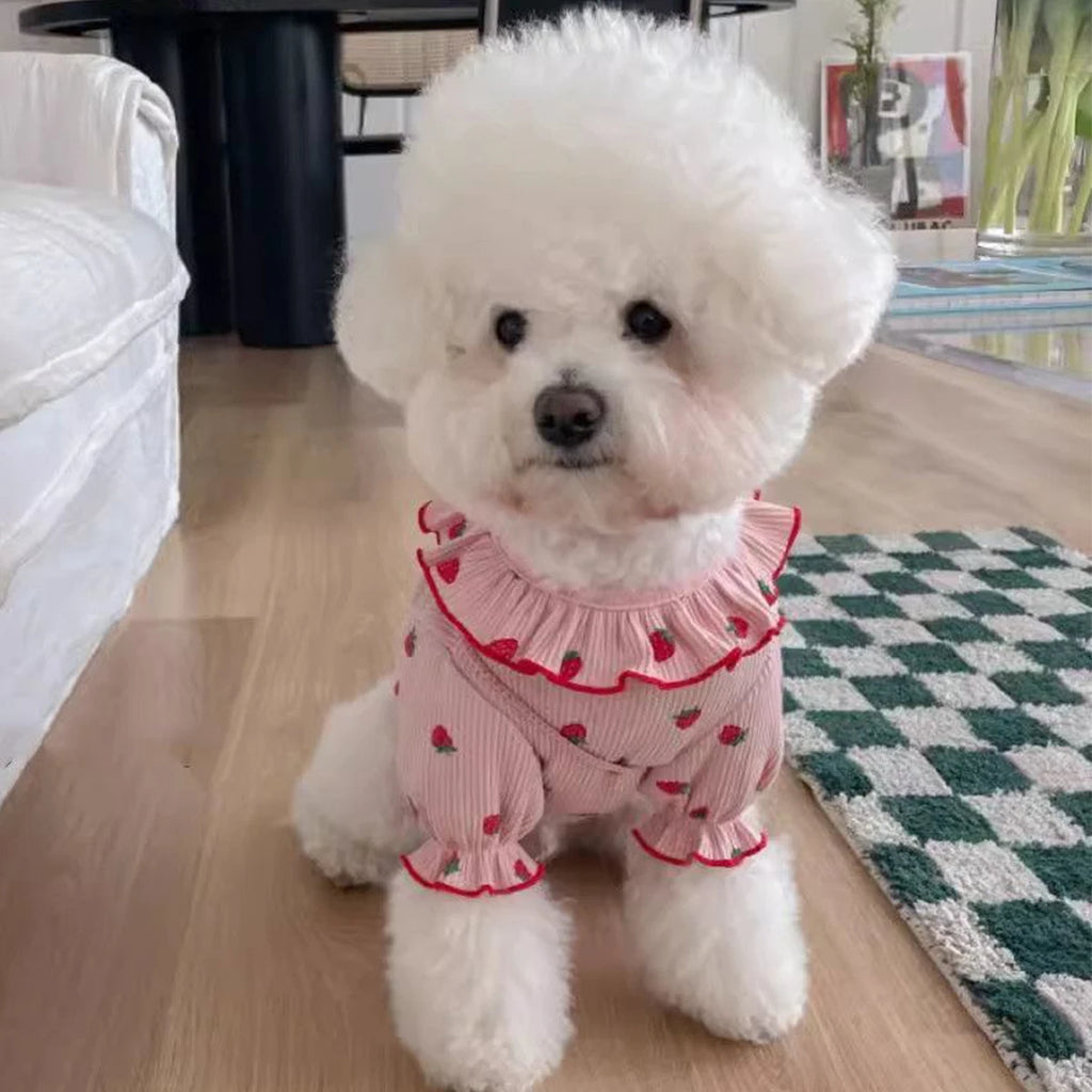 EURO VIBE Cute Dog Clothes | Breathable Summer Pet Outfit