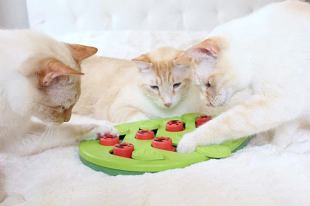 EURO VIBE Cat Puzzle Feeder | Interactive Slow Feeding Toy