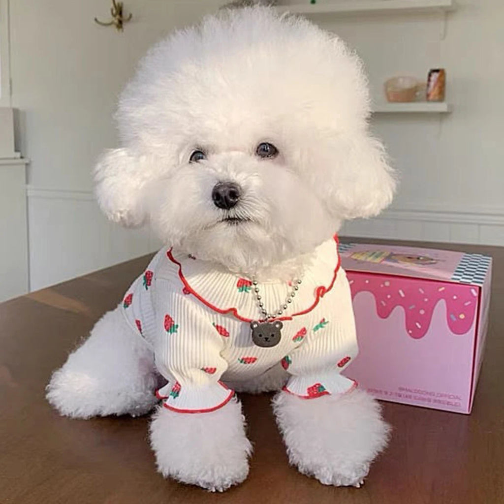 EURO VIBE Cute Dog Clothes | Breathable Summer Pet Outfit