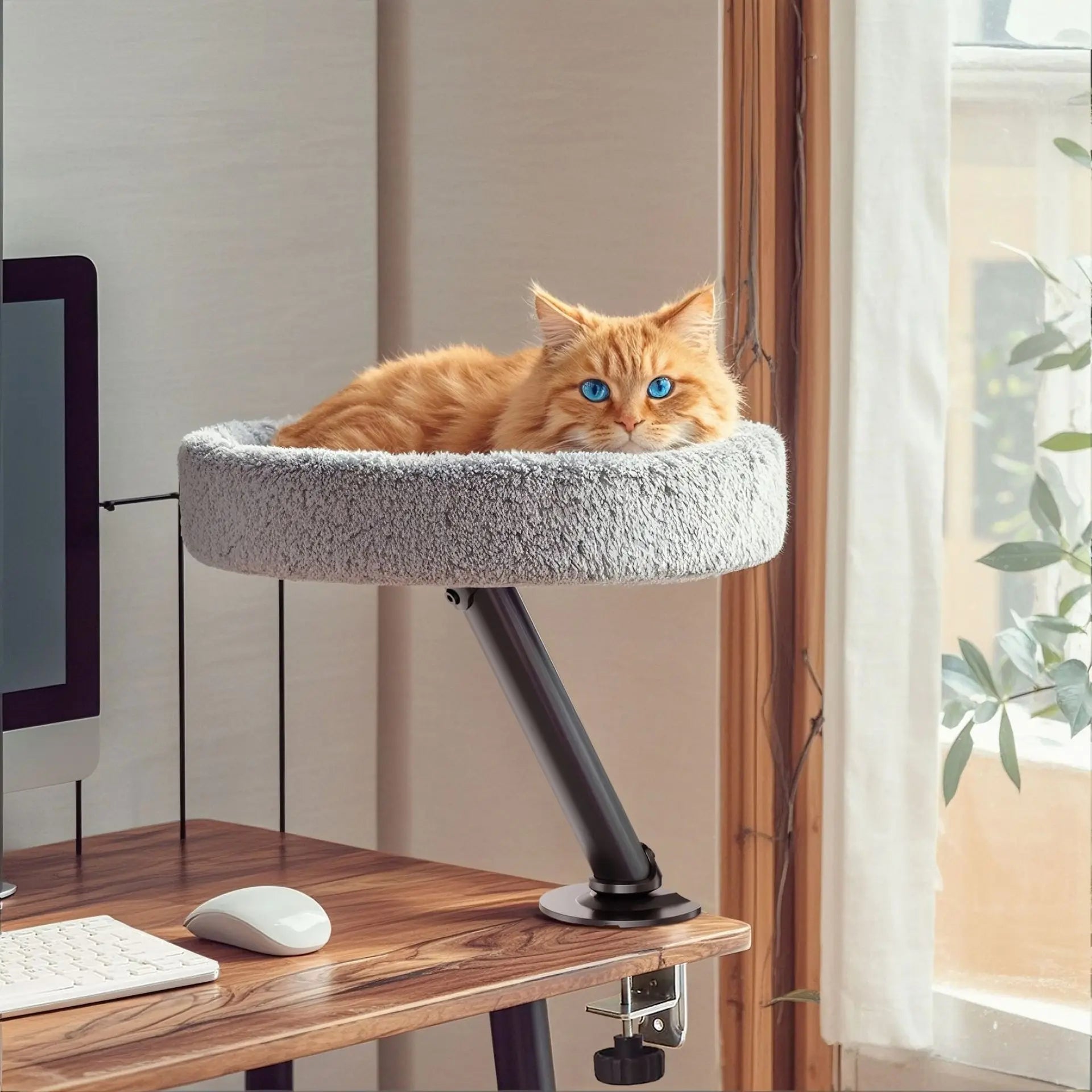 EURO VIBE Adjustable Cat Desk Perch Bed | Comfortable Rest Spot