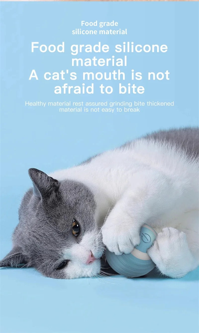 “Automatic Teasing Cat Ball Toy – Interactive Smart Rolling Pet Toy USA”