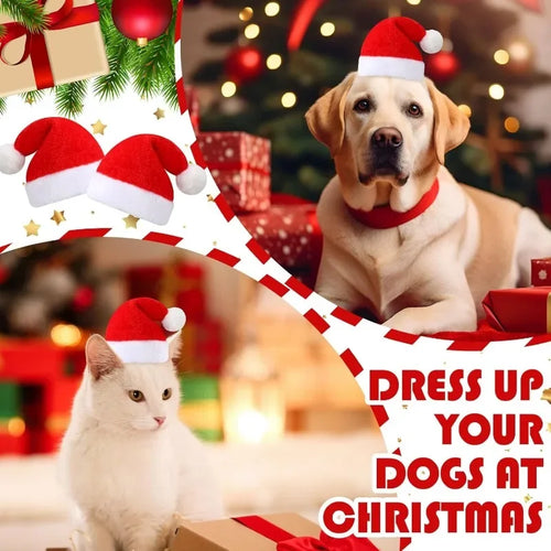 Christmas Pet Santa Hat for Dogs & Cats – Cute Holiday Costume Accessory