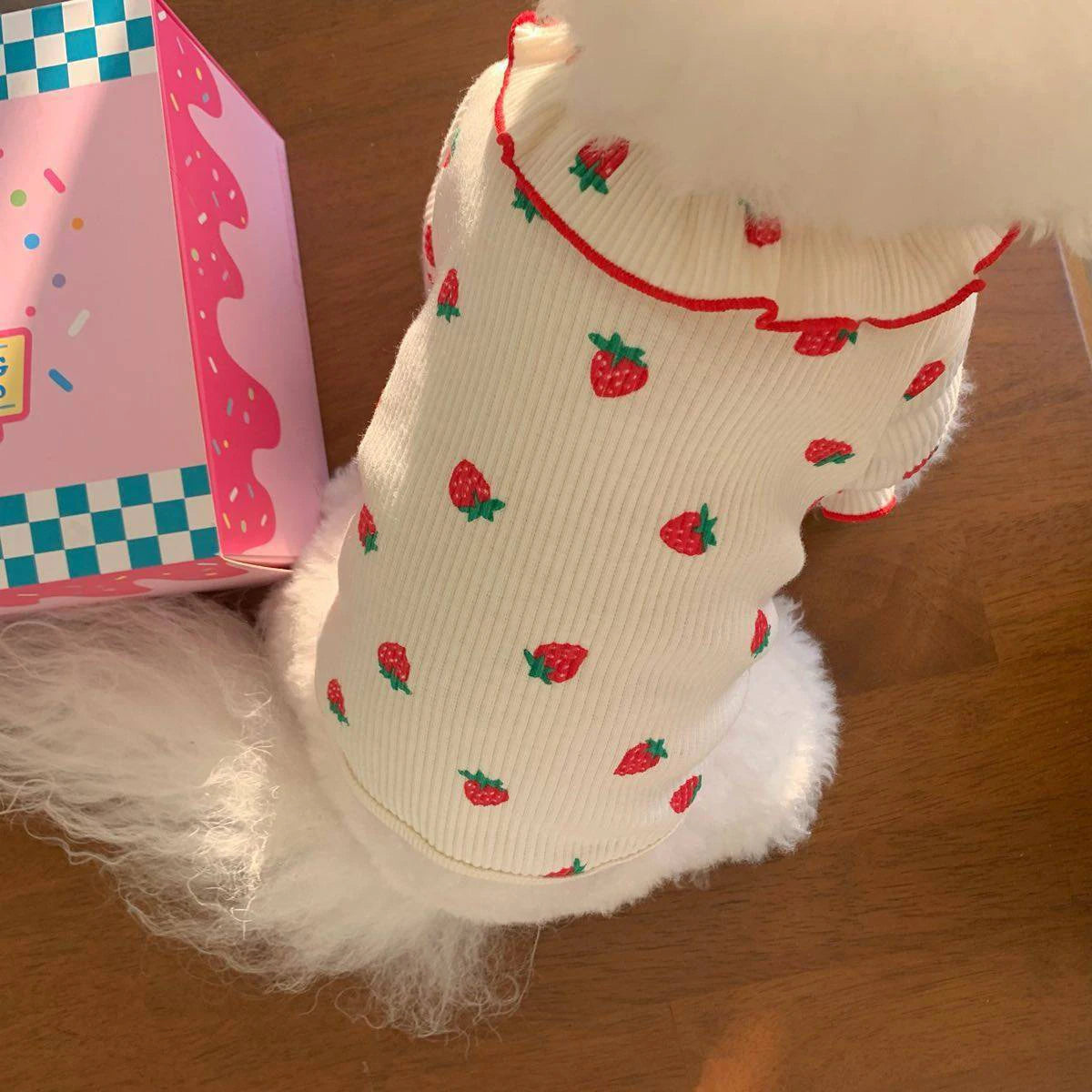 EURO VIBE Cute Dog Clothes | Breathable Summer Pet Outfit