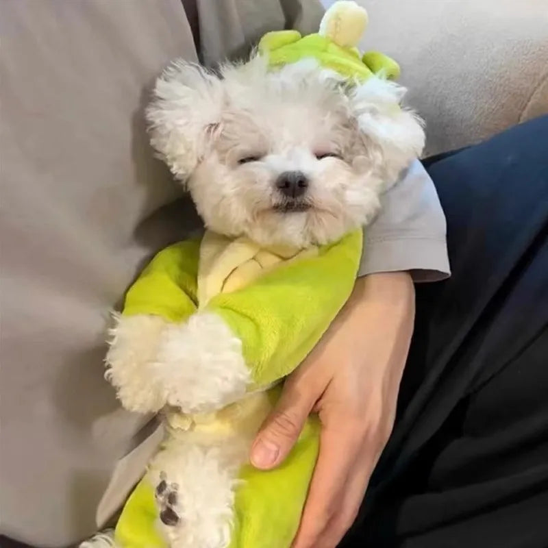 “Cute Dino Dog Costume – Green Dinosaur Outfit for Small & Medium Dogs