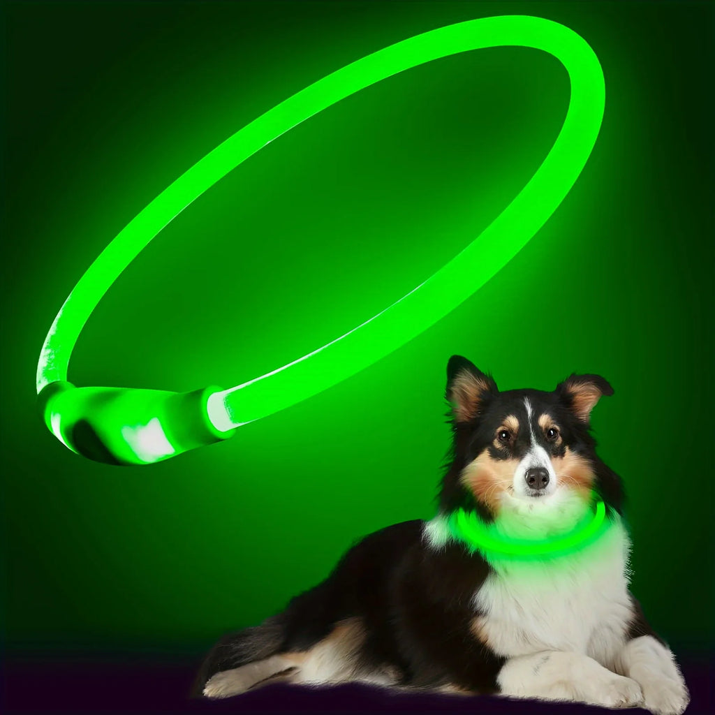 LED Glow Safety Dog Collar – Rechargeable Light Up Pet Neck Ring UK