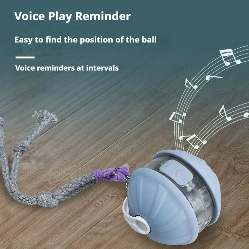 Cat Infrared Interactive Ball Toy for Cats | EURO VIBE UK