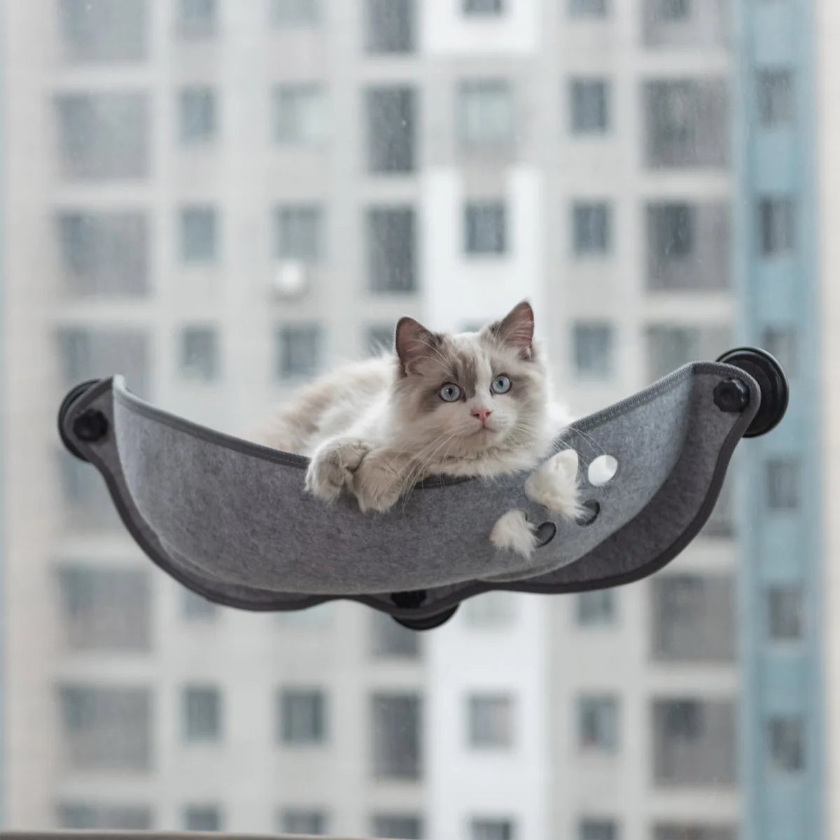 EURO VIBE Cat Window Hammock Bed with Strong Suction Cups