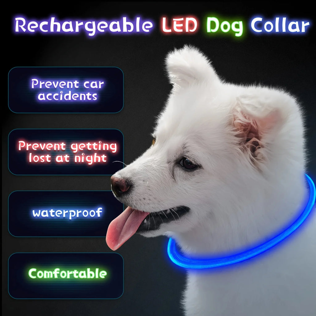 LED Glow Safety Dog Collar – Rechargeable Light Up Pet Neck Ring UK