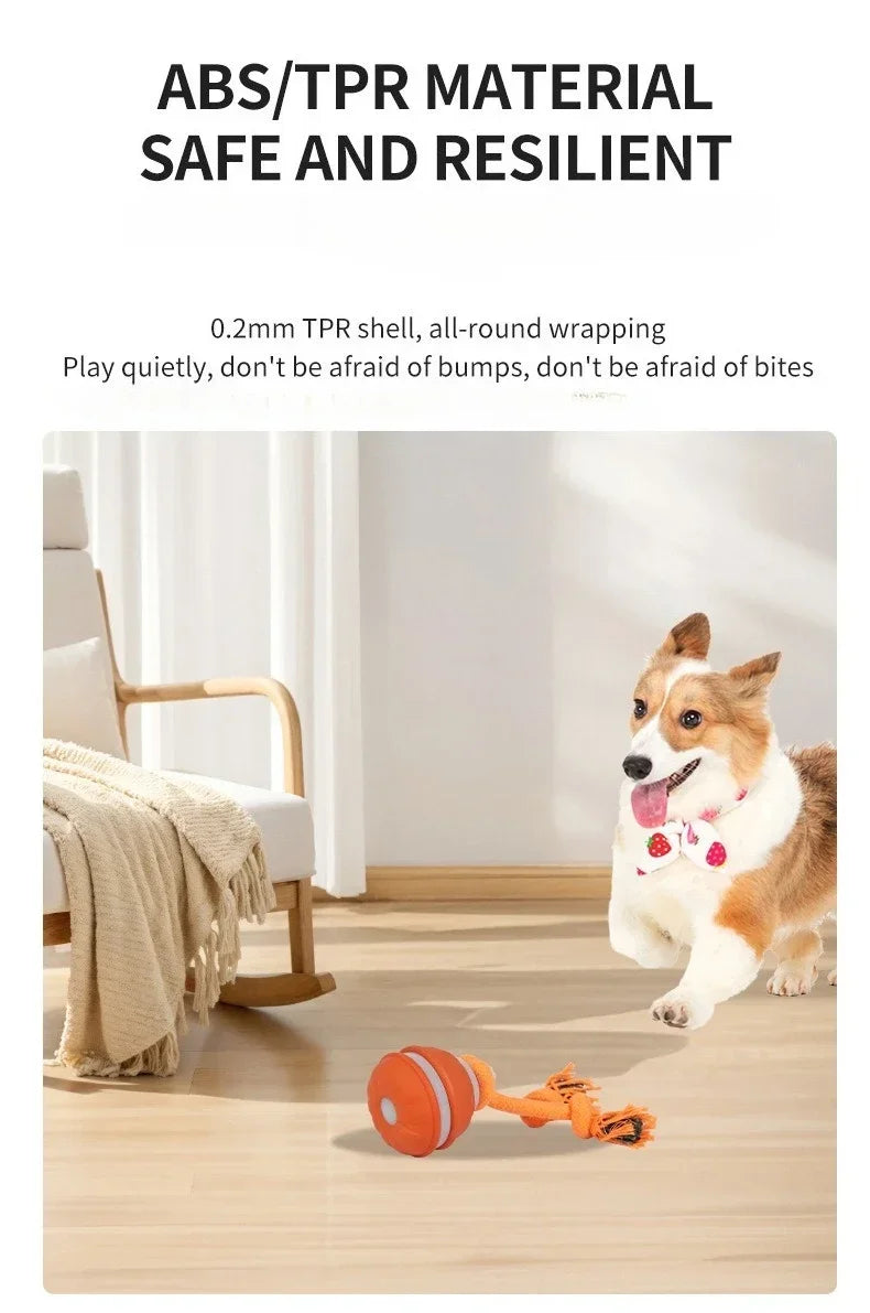 EURO VIBE Interactive Dog Rope Toy with Suction Cup & Ball