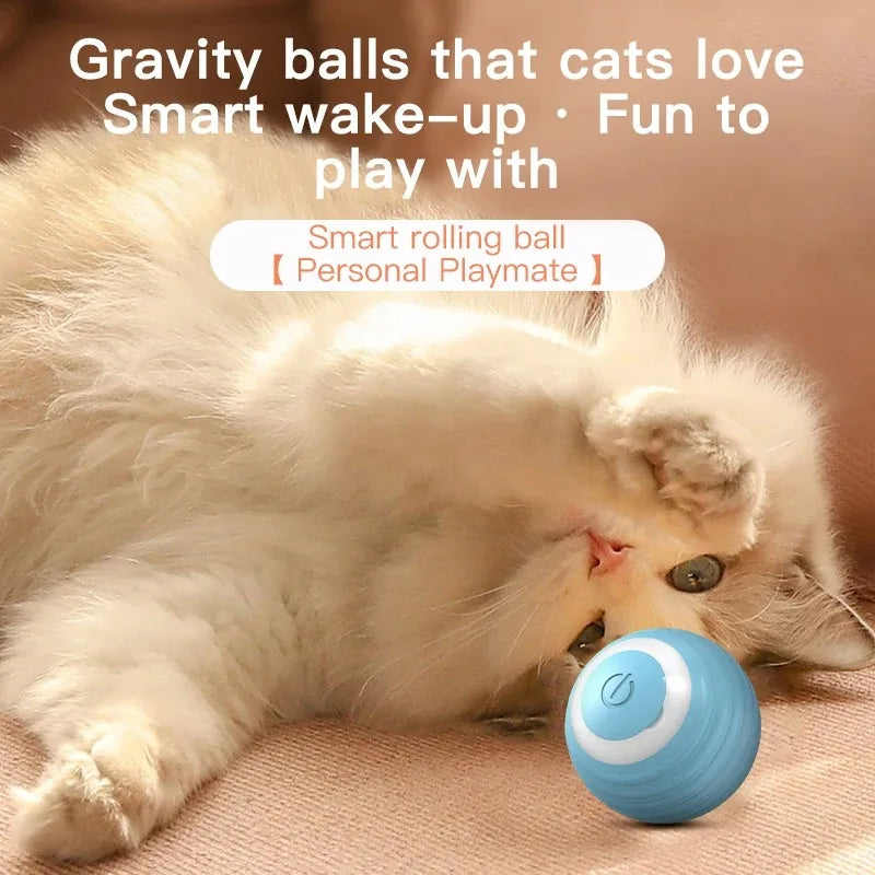 “Automatic Teasing Cat Ball Toy – Interactive Smart Rolling Pet Toy USA”