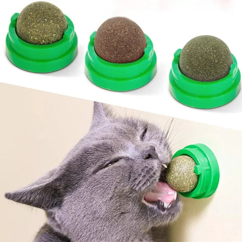 EURO VIBE Natural Catnip Ball Toy for Cats | Stress Relief