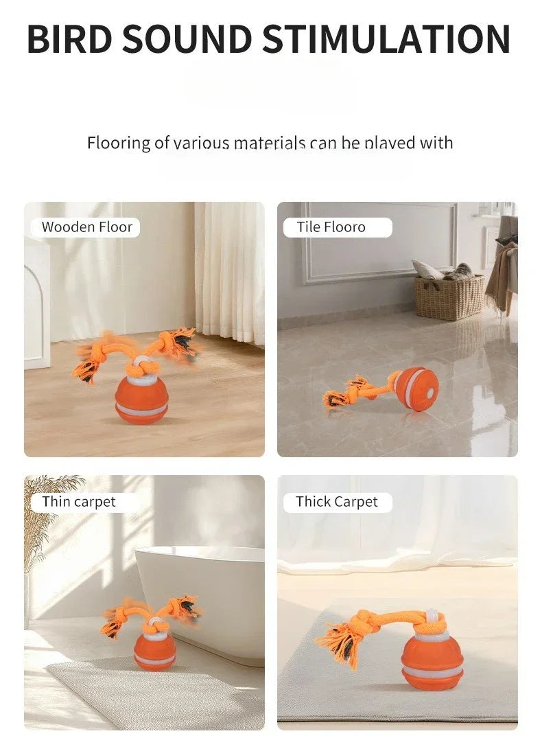 EURO VIBE Interactive Dog Rope Toy with Suction Cup & Ball