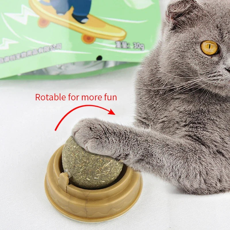 EURO VIBE Natural Catnip Ball Toy for Cats | Stress Relief