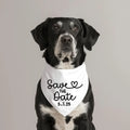 EURO VIBE Save the Date Dog Bandana – Wedding Announcement Accessory