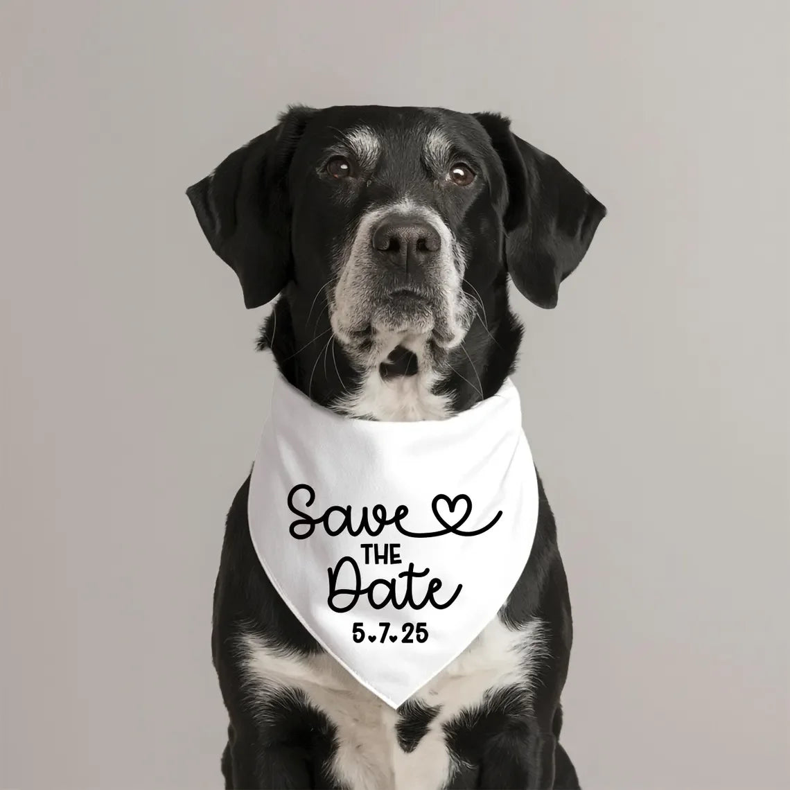 EURO VIBE Save the Date Dog Bandana – Wedding Announcement Accessory