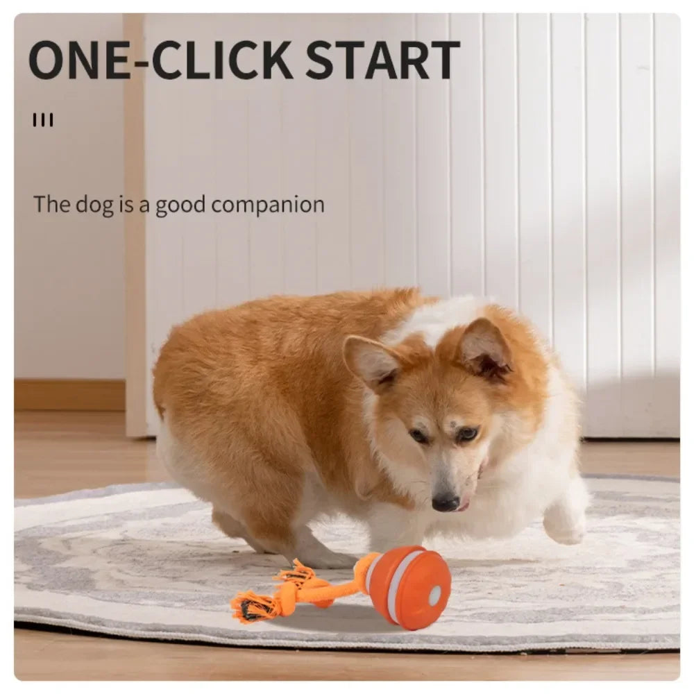 EURO VIBE Interactive Dog Rope Toy with Suction Cup & Ball