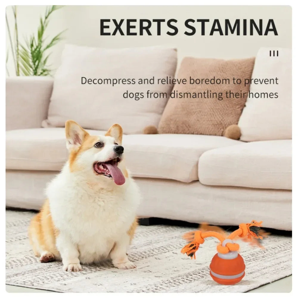 EURO VIBE Interactive Dog Rope Toy with Suction Cup & Ball